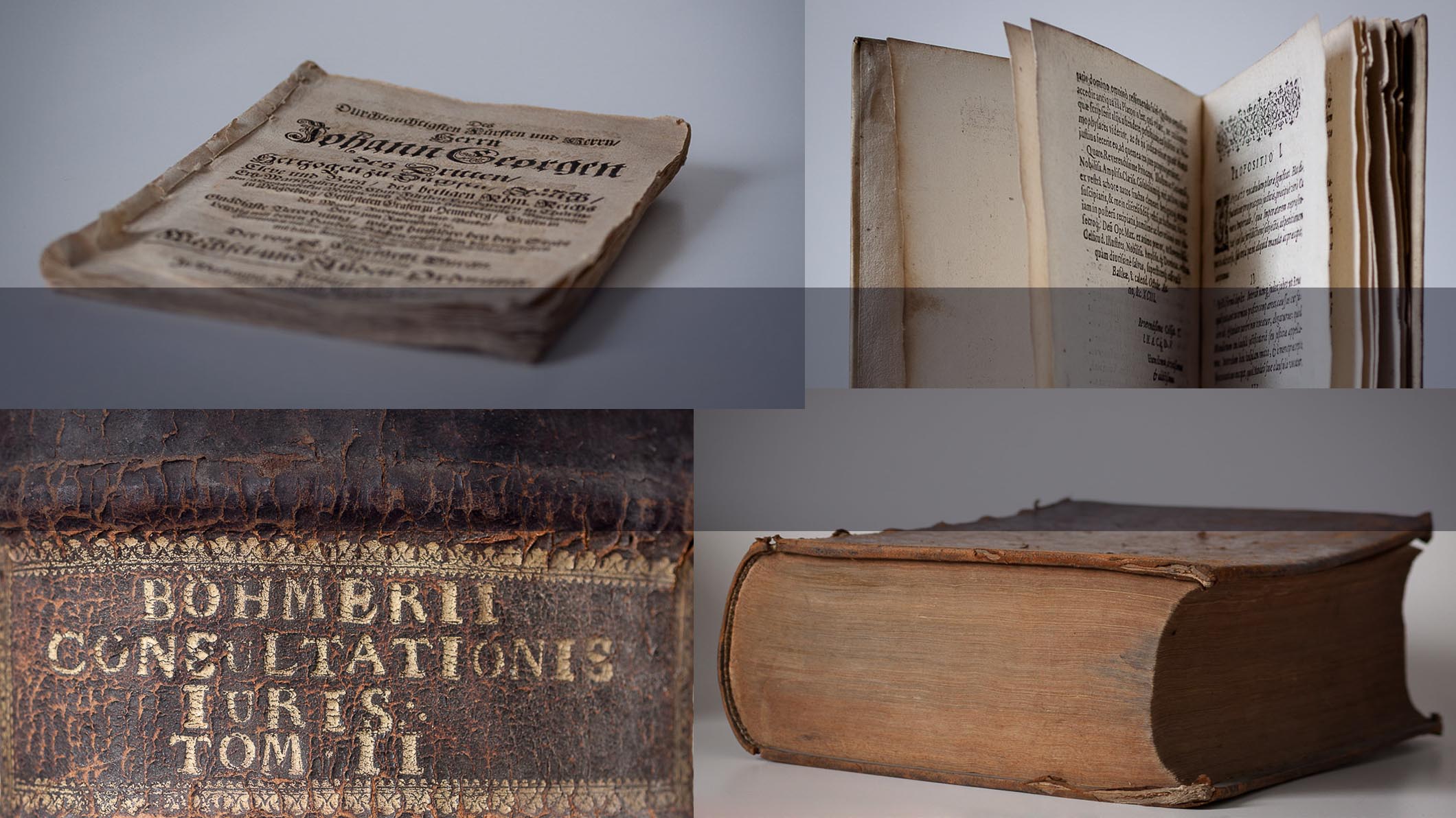 Legal historical biographies / Art biographies in transnational contexts